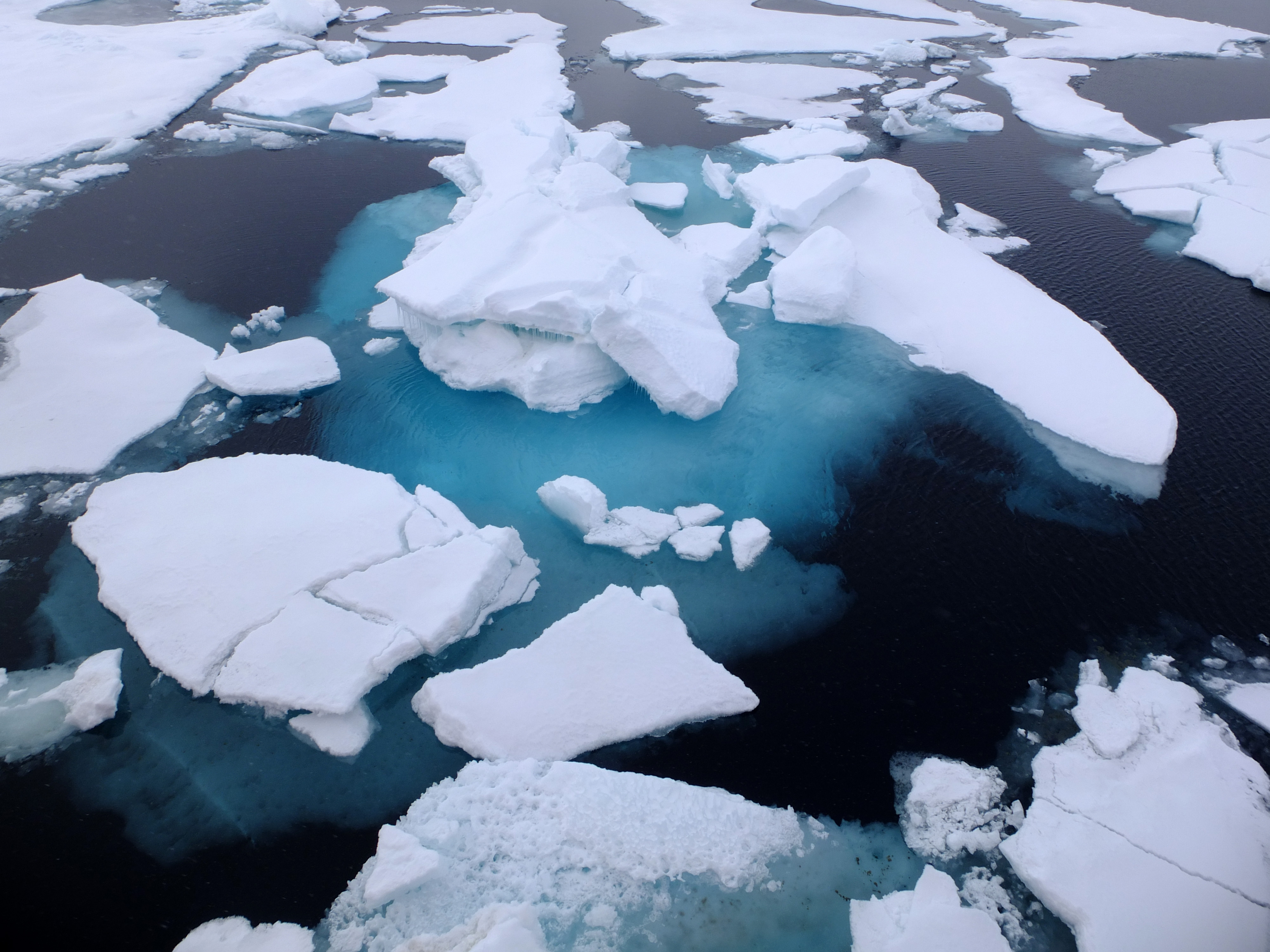 На что больше похож лед. Арктика. Во льдах Арктики. Снег и лед. Лед трещины Арктика.